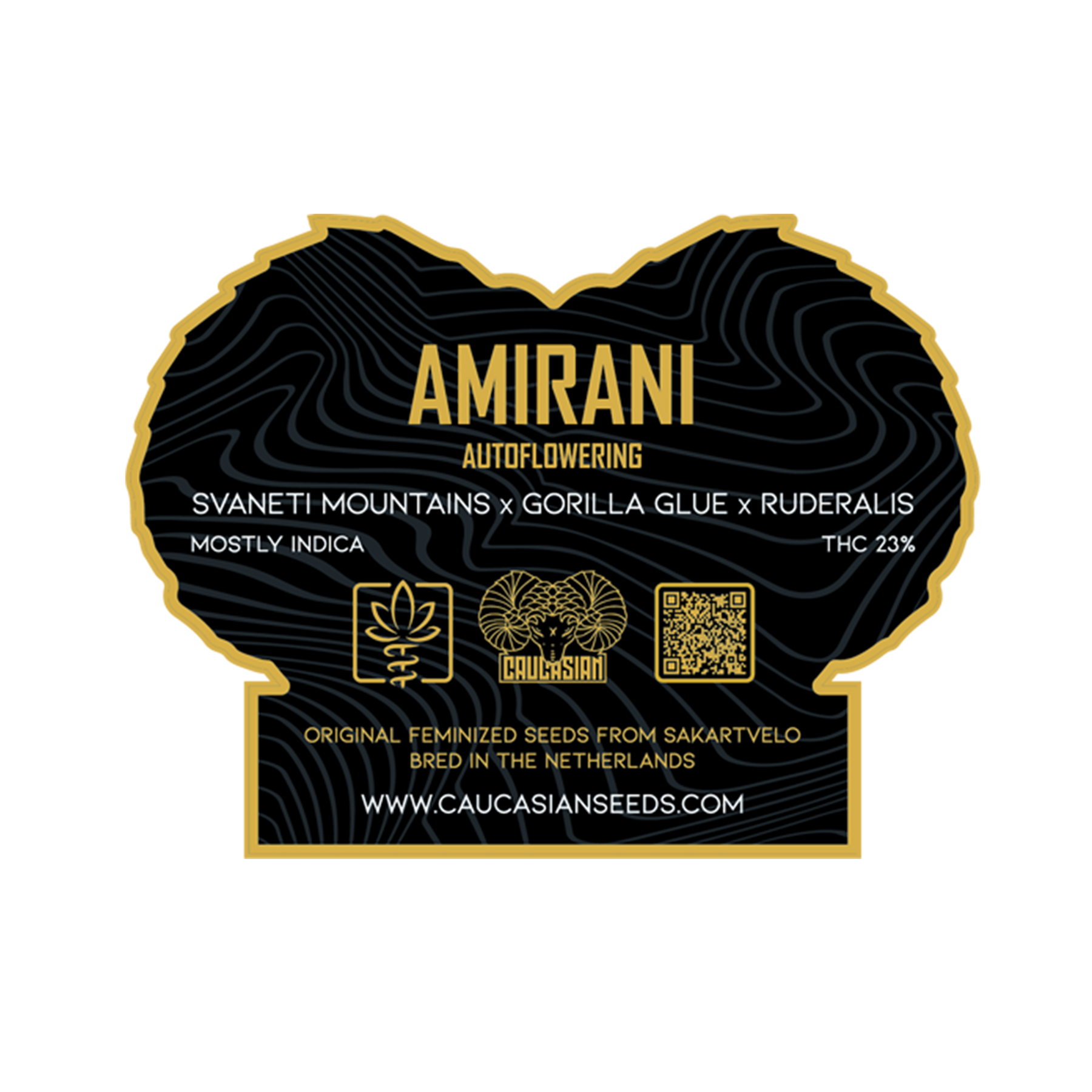 Amirani Auto