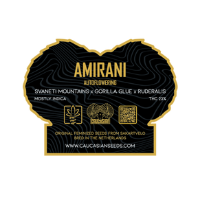 Amirani Auto